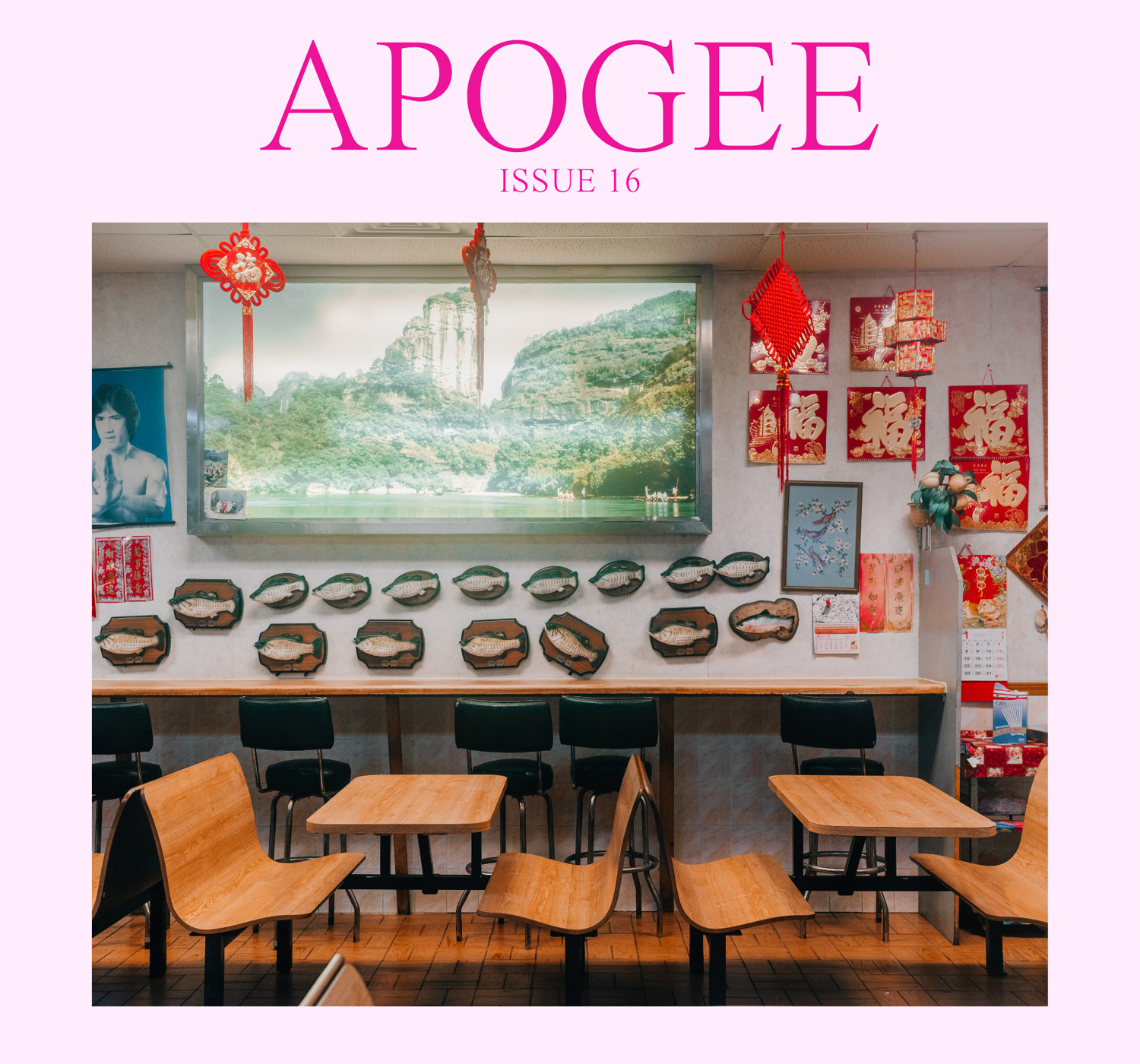 Apogee Journal Issue 16 cover